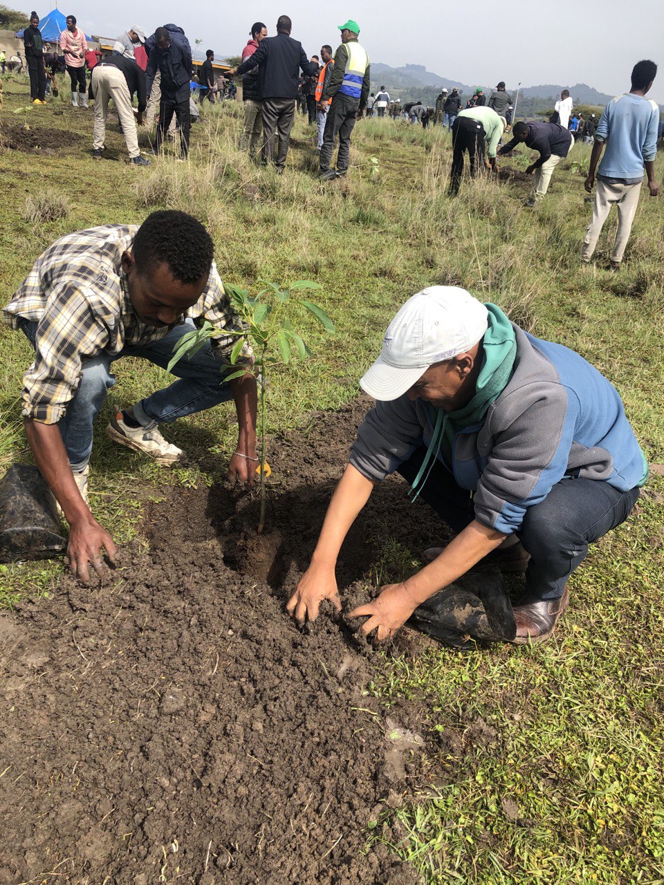 Sustainable development projects